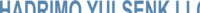 HADRIMO YULSENK LLC